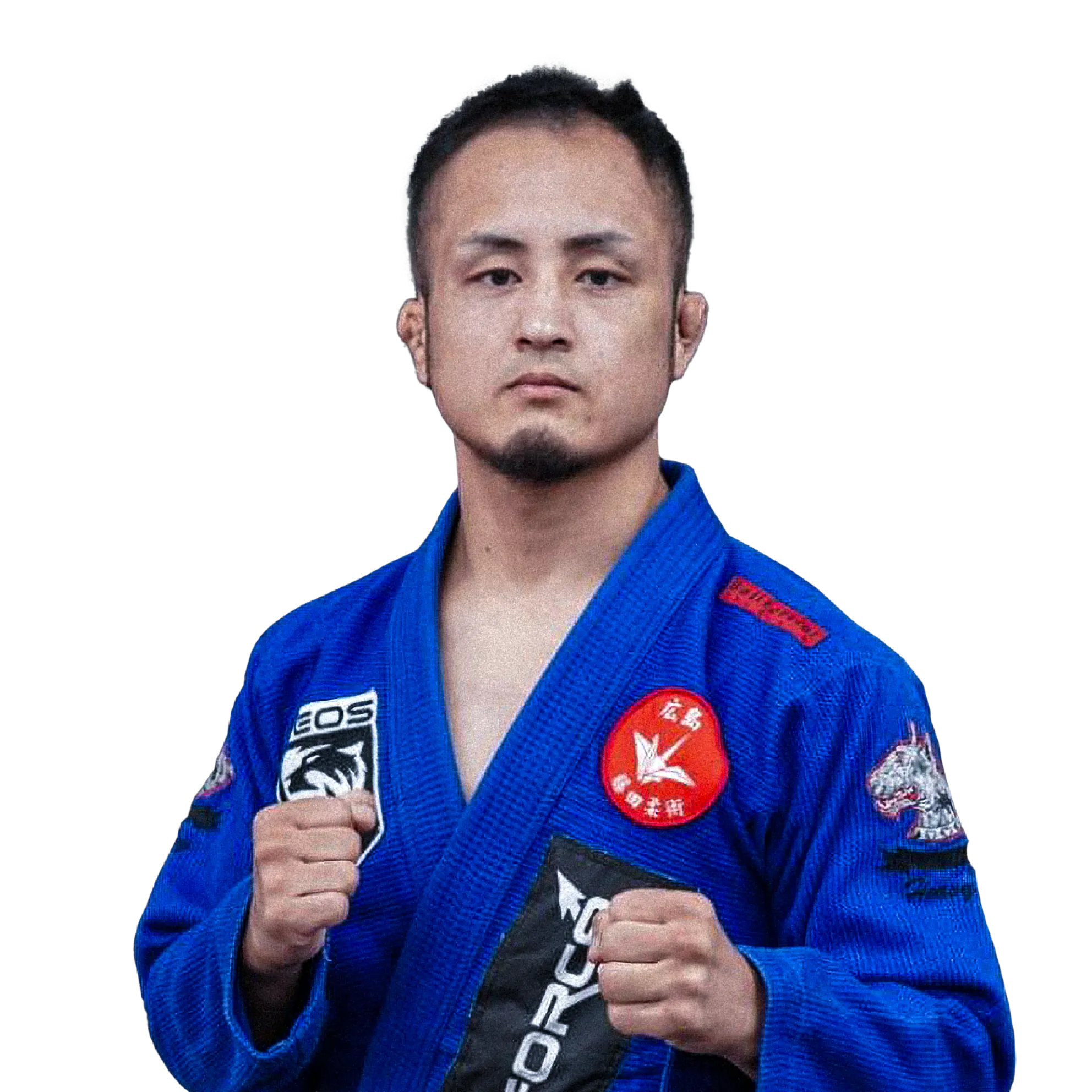 Nobushige Egi